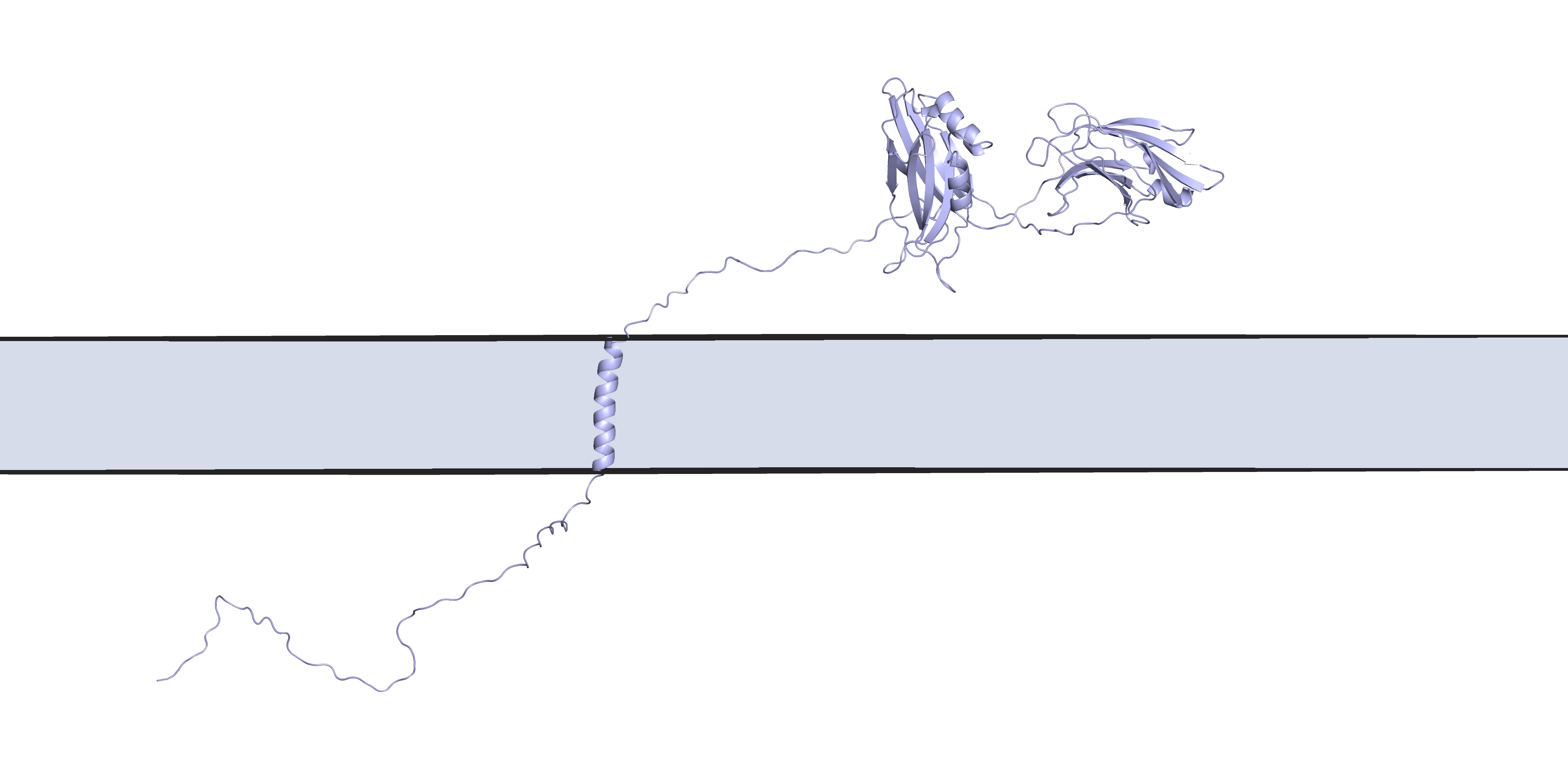 SYT1 with Membrane